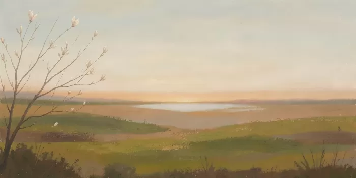 Spring Field