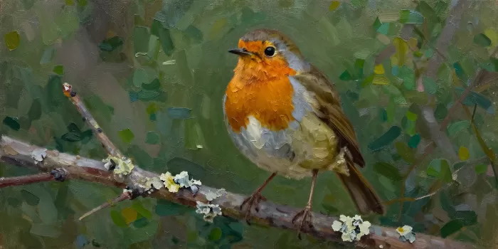 Robin's Perch