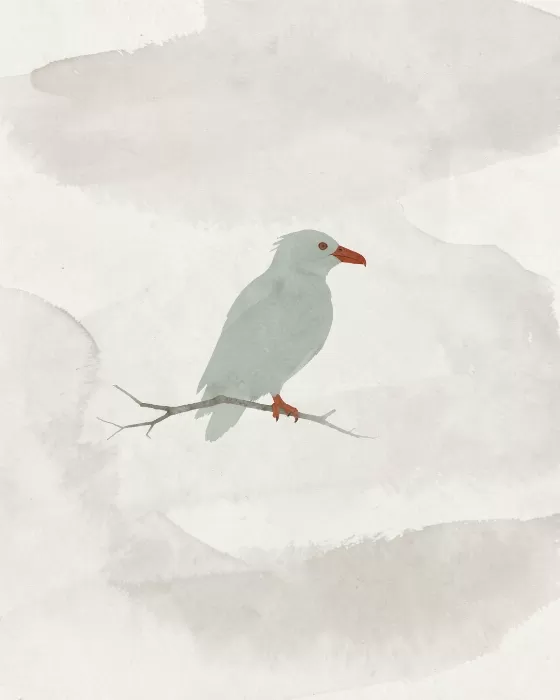 Rust Beak