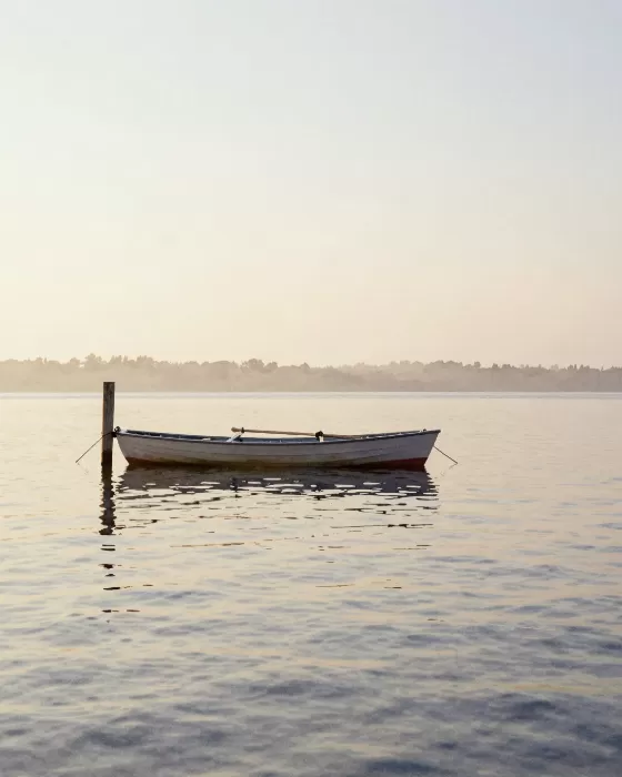 Moored Ripple