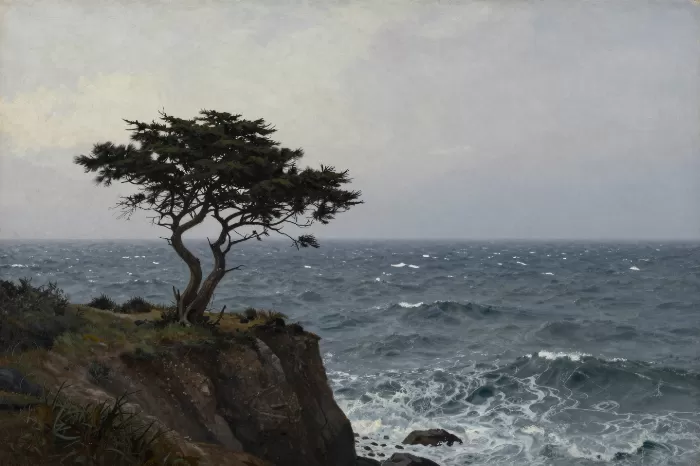Windbent