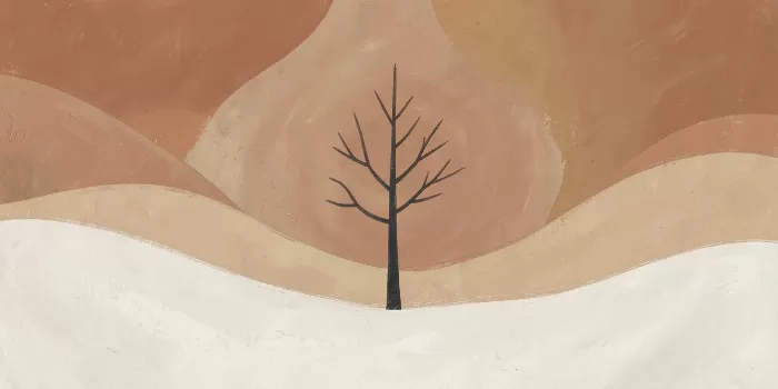 Terracotta Snow
