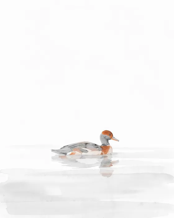 Loon Wash