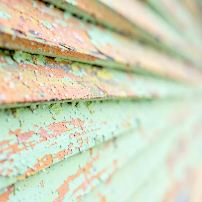 Coral Clapboard