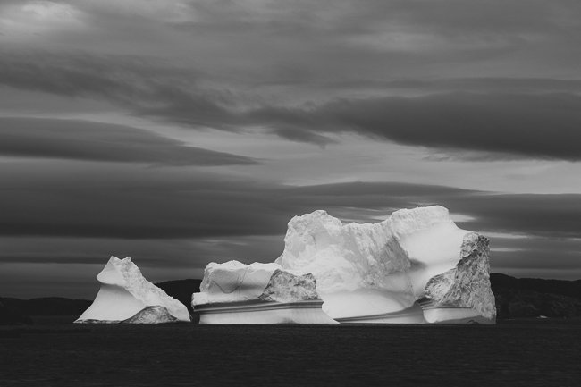 Nice Ice Black and White - Newfoundland art print