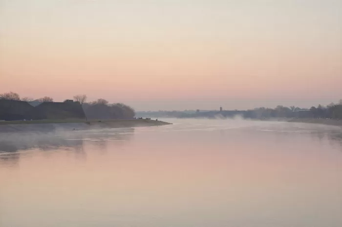 Memphis Mist