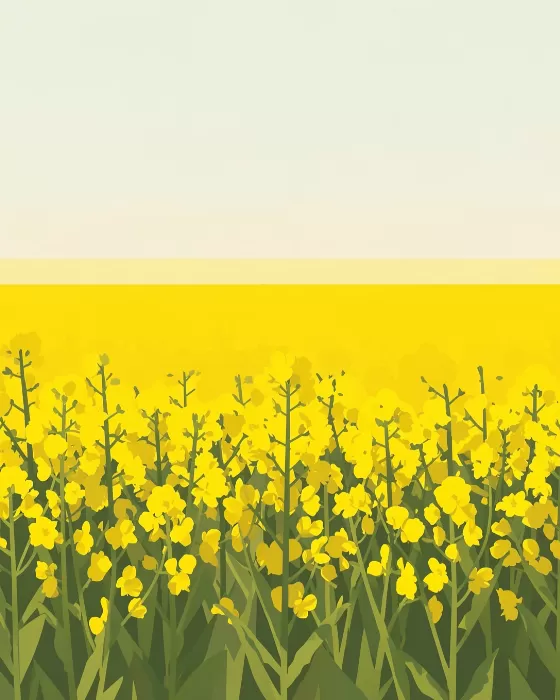 Olive Prairie