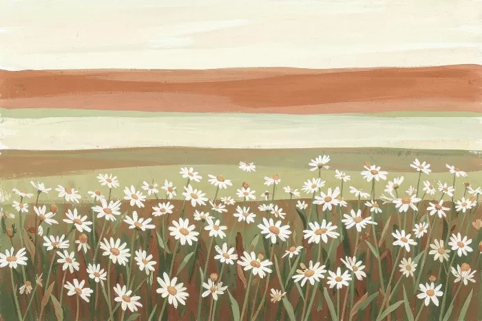 Meadow Bands