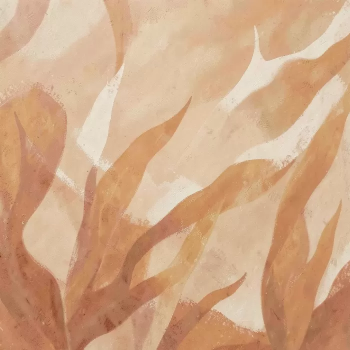Terracotta Kelp