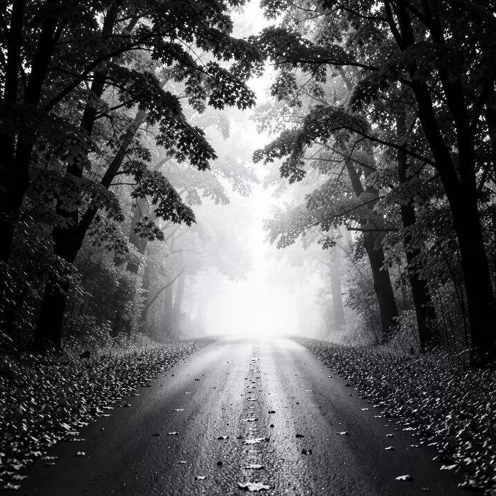 Misty Corridor