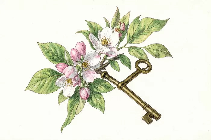 Apple & Key