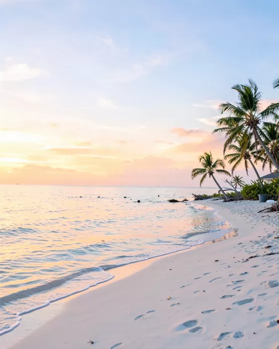 Gulf Shore