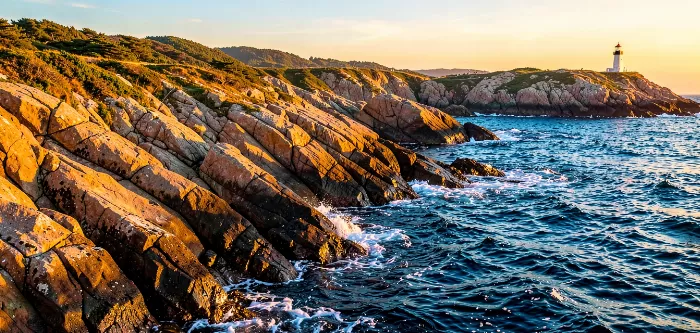 Acadia Golden