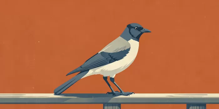 Burnt Orange Magpie