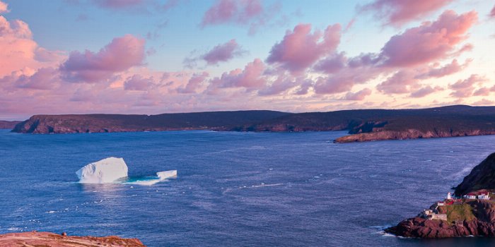 Collision Course - Newfoundland art print
