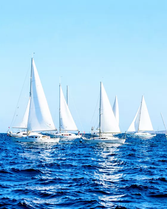 Regatta Sail