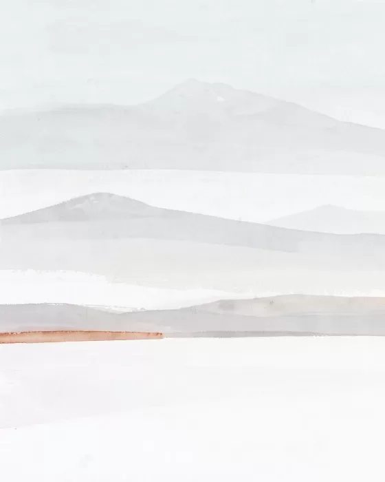 Denver Snow