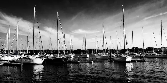 Annapolis Masts