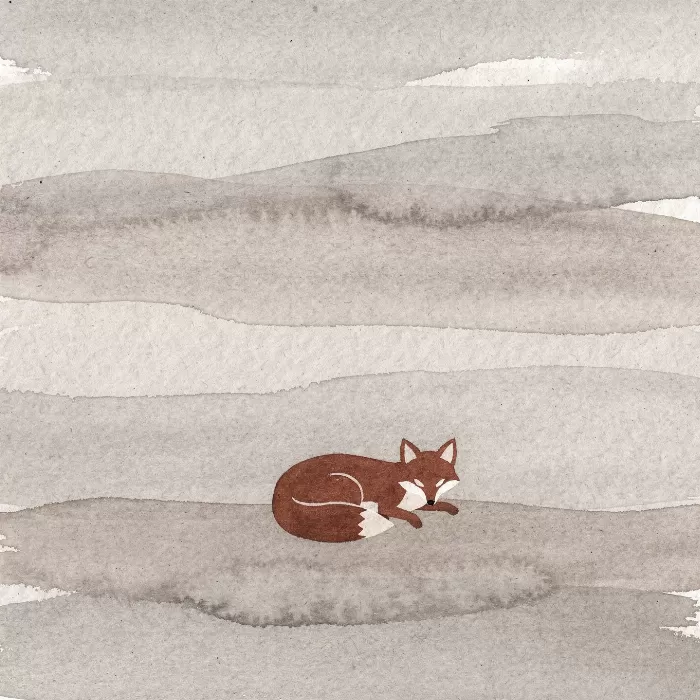 Resting Fox