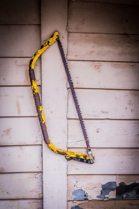 Woodsman - Newfoundland art print