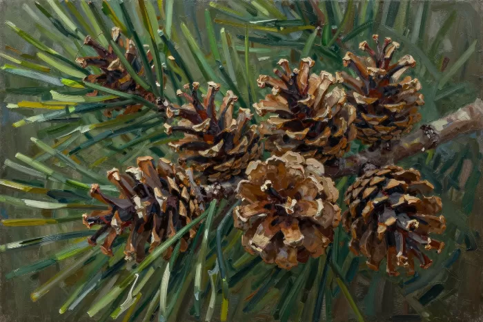 Forest Scales