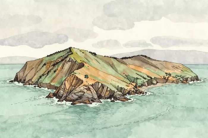 Otago Headland
