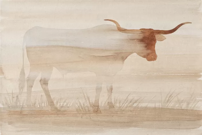 Longhorn Silhouette