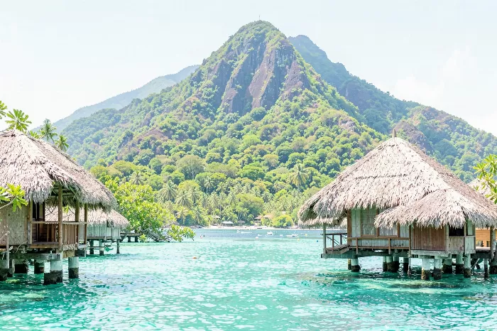 Tropical Turquoise