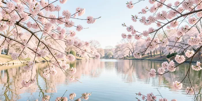 Tidal Blossoms