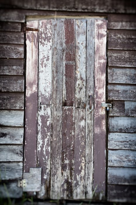 Stage Door - Newfoundland art print