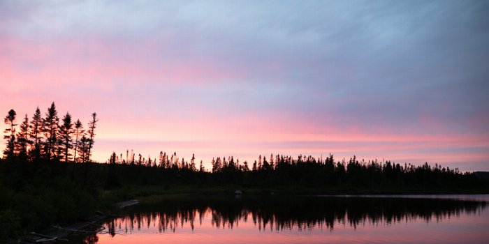 Cabin Life North Shore II - Newfoundland art print