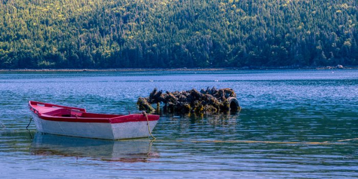 Rogers Boat - Newfoundland art print