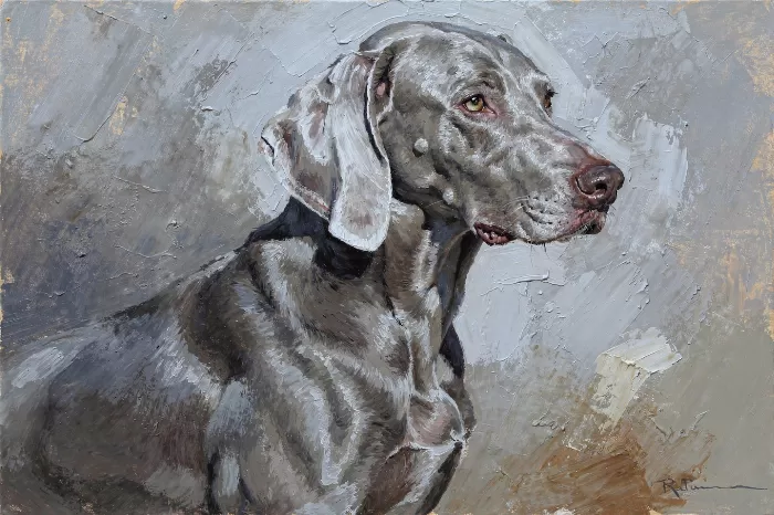 Weimaraner Grace