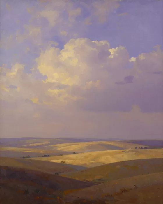 Dusky Hills