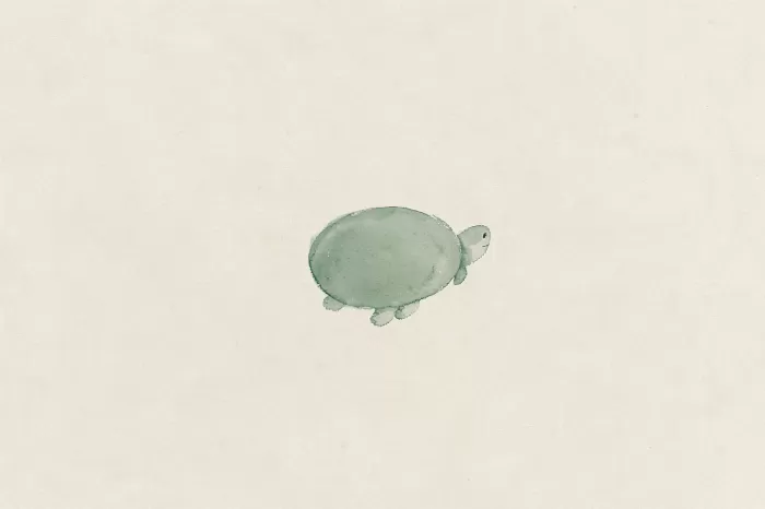 Sage Shell
