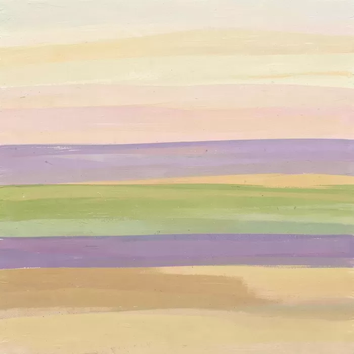 Soft Horizon II