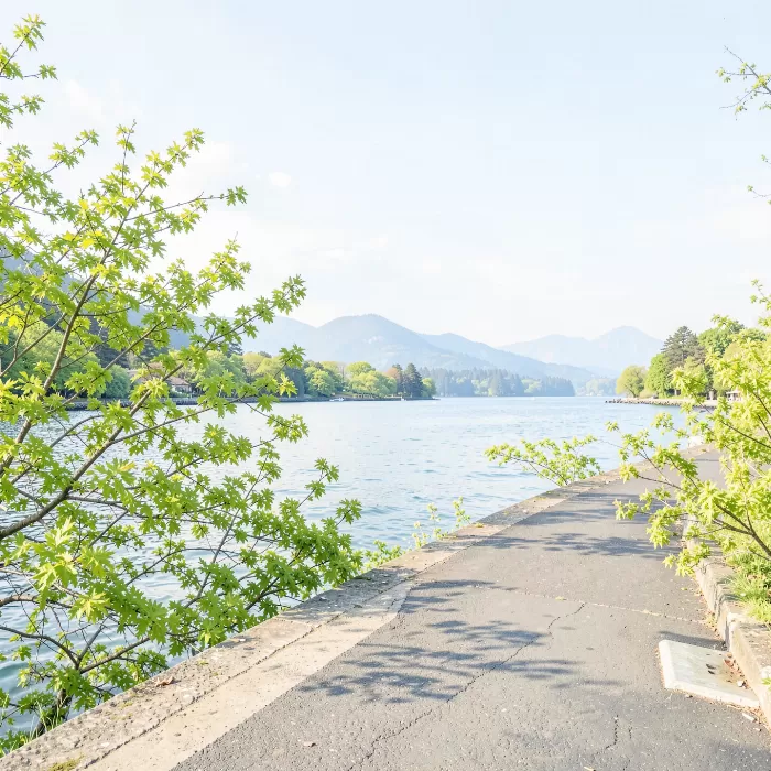 Seawall Spring