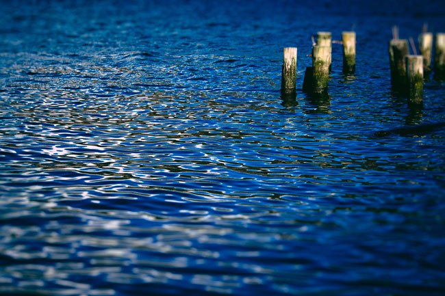 Midnight On The Water - Newfoundland art print