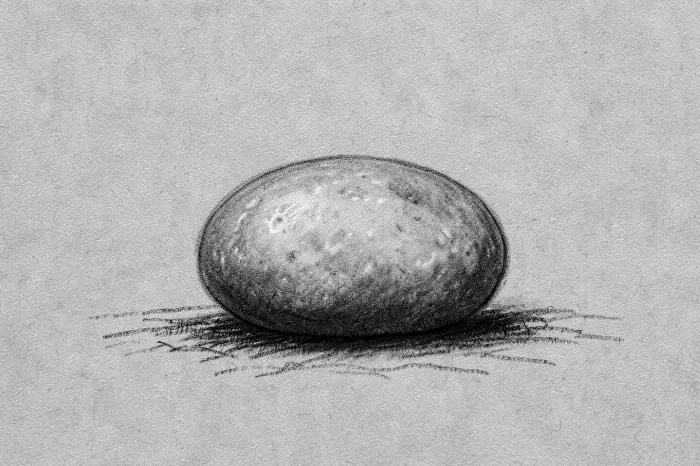 Solo Stone