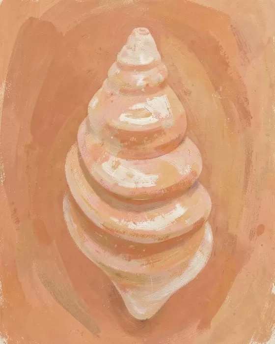 Terracotta Whorl