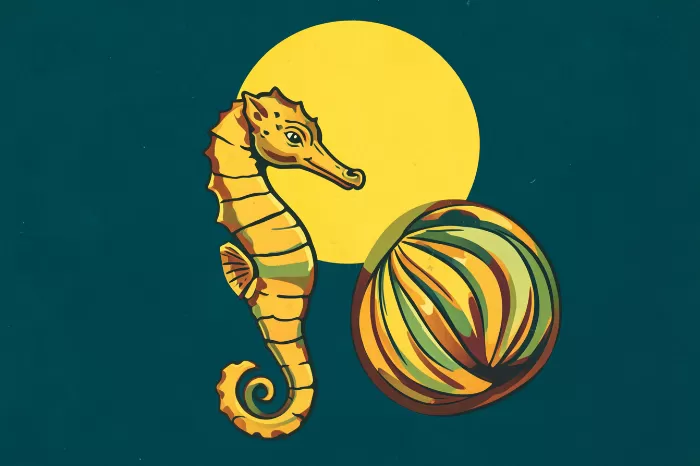 Tide And Spiral