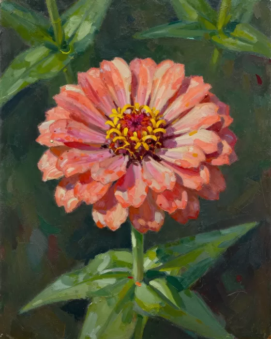 Petalled Light