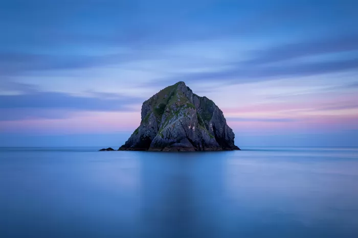 Violet Tide