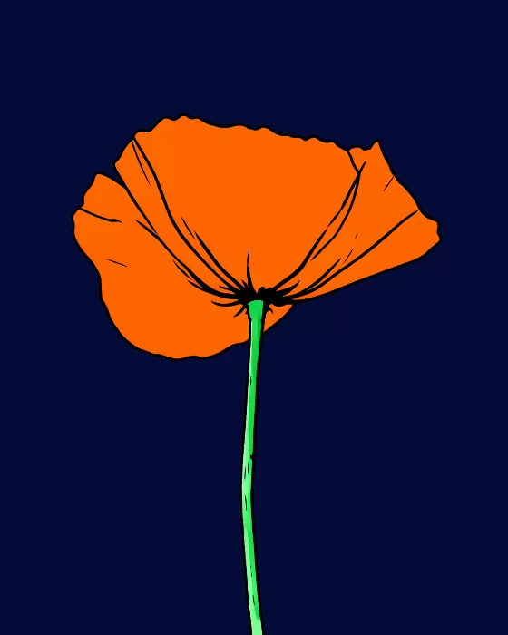 Orange Bloom