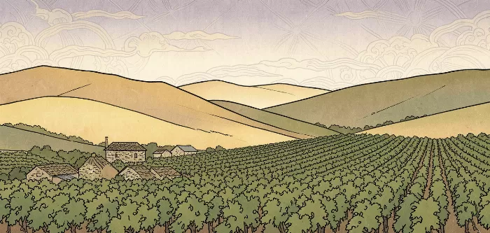 Golden Barossa