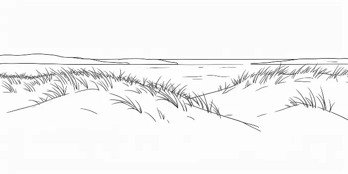 Island Grass