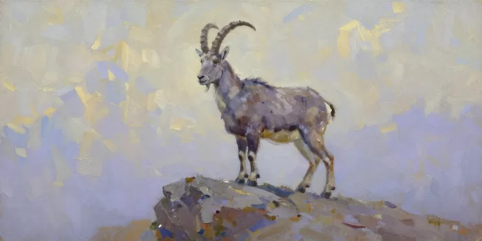 Goat's Perch