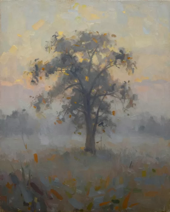 Foggy Meadow