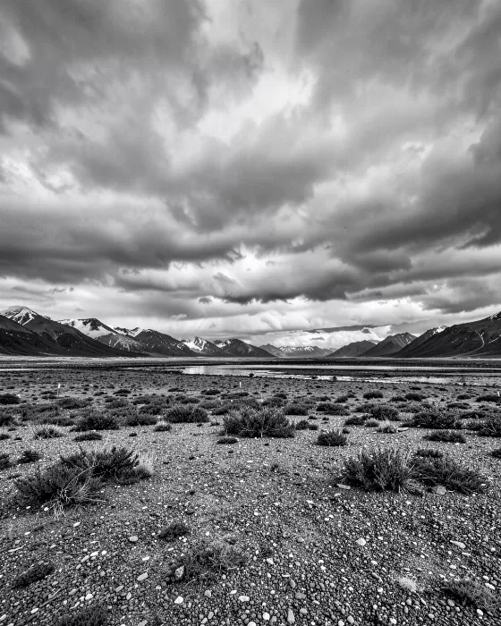 Tundra Sky