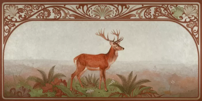 Heath Stag